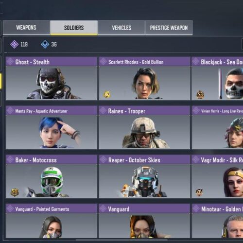 Level 357 COD Mobile account for sale characters